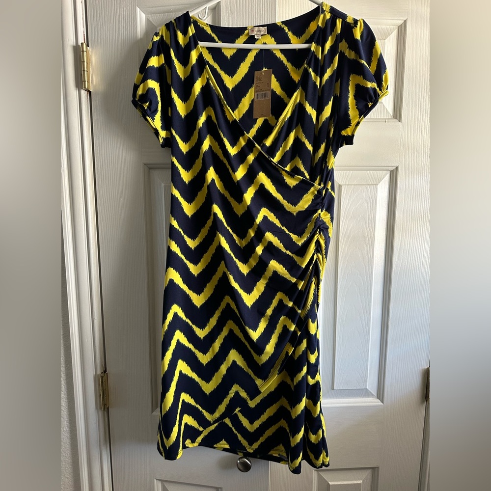 Cremieux Women’s Dress